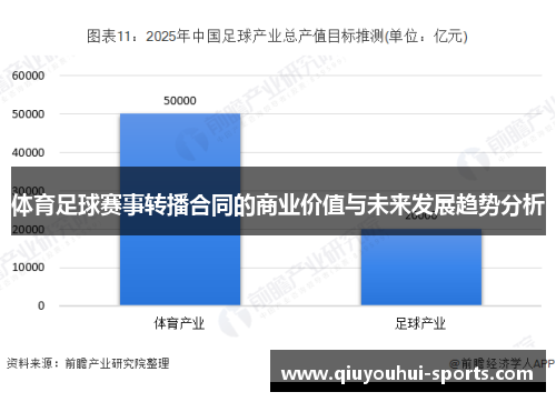 体育足球赛事转播合同的商业价值与未来发展趋势分析